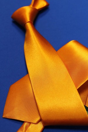 Галстук цвет: оранжевый, арт. 1000-86