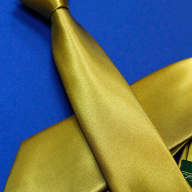 Узкий галстук, цвет: Желто горчичный арт. 1020s79