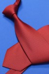 Классический галстук, цвет: красный чили арт. 1104-61 - 